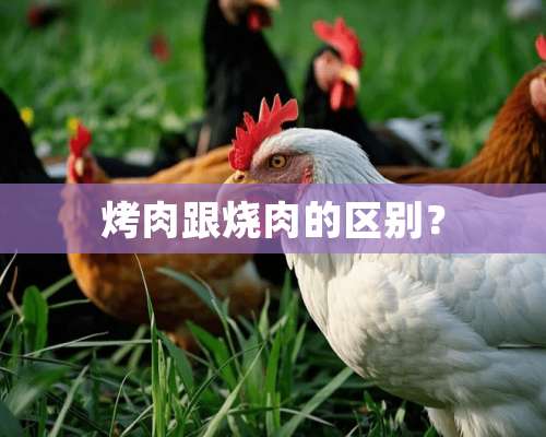 烤肉跟烧肉的区别？