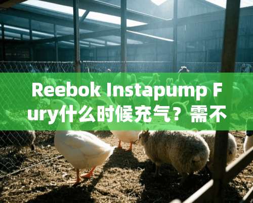 Reebok Instapump Fury什么时候充气？需不需要放气