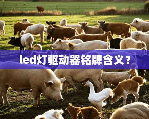 led灯驱动器铭牌含义？