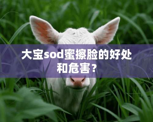 **sod蜜擦脸的好处和危害？