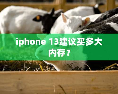 iphone 13建议买多大内存？