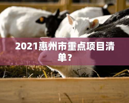 2021惠州市重点项目清单？