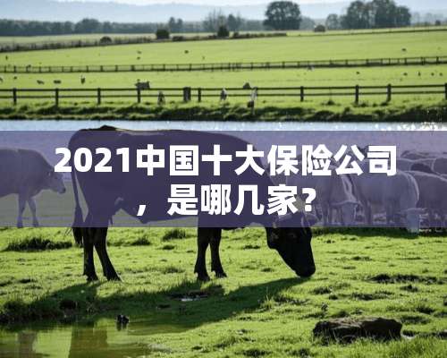 2021中国十大保险公司，是哪几家？