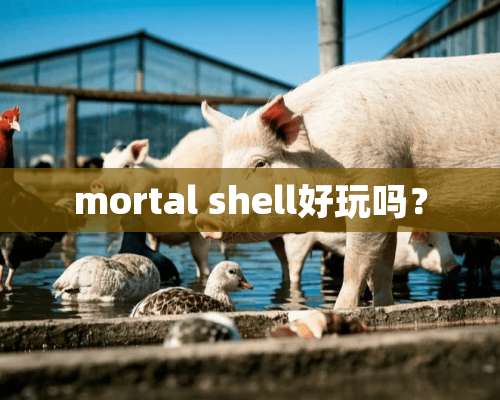 mortal shell好玩吗？