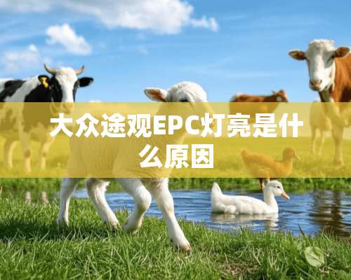 大众途观EPC灯亮是什么原因