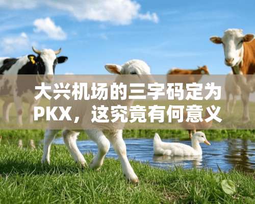 大兴机场的三字码定为PKX，这究竟有何意义？