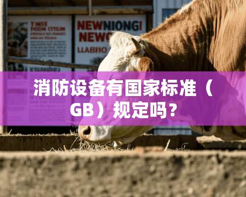 消防设备有国家标准（GB）规定吗？