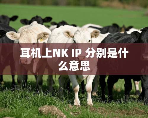 耳机上NK IP 分别是什么意思