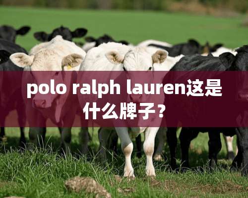 polo ralph lauren这是什么牌子？