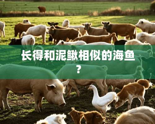 长得和泥鳅相似的海鱼？