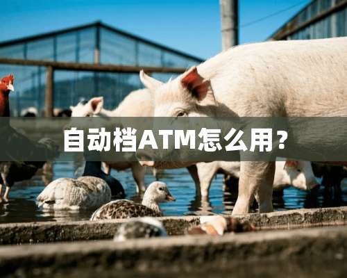 自动档ATM怎么用？