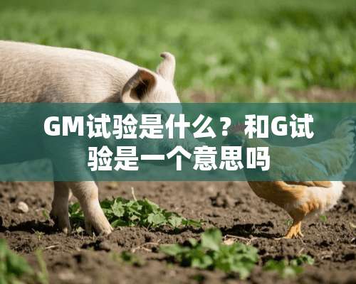 GM试验是什么？和G试验是一个意思吗