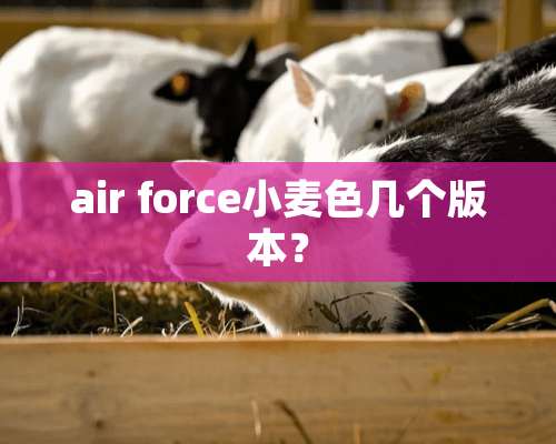 air force小麦色几个版本？