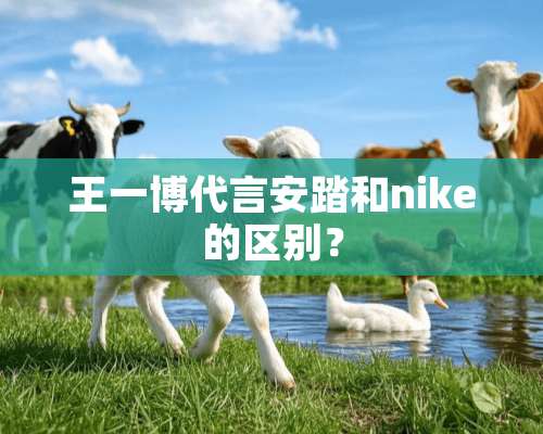 王一博代言安踏和nike的区别？