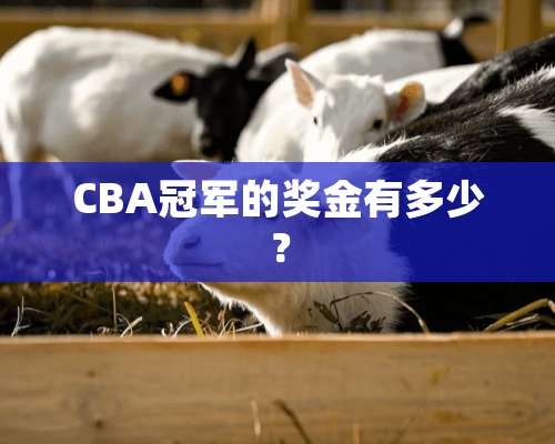 CBA冠军的奖金有多少？