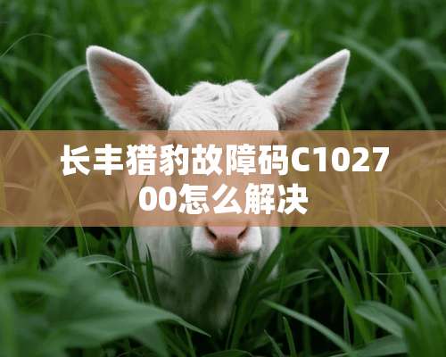 长丰**故障码C102700怎么解决