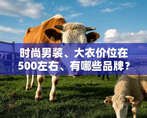 时尚男装、大衣价位在500左右、有哪些品牌？