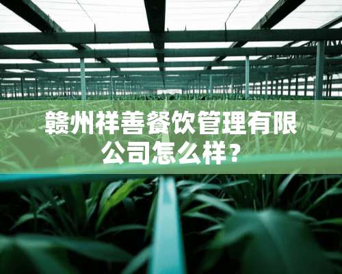 赣州祥善餐饮管理有限公司怎么样？