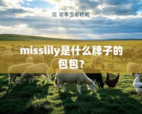 misslily是什么牌子的包包？