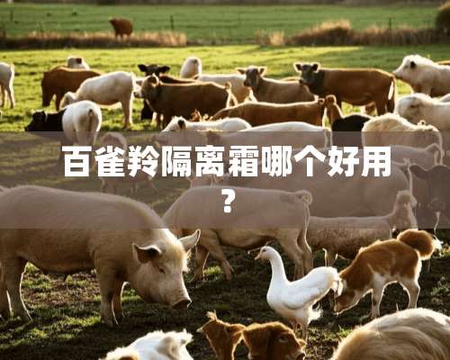 百雀羚隔离霜哪个好用？