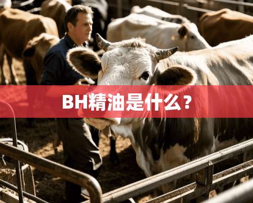 BH精油是什么？