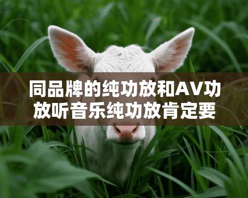 同品牌的纯功放和AV功放听音乐纯功放肯定要好吗？