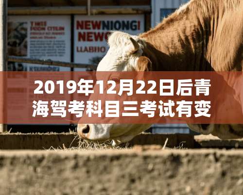 2019年12月22日后青海驾考科目三考试有变化吗？