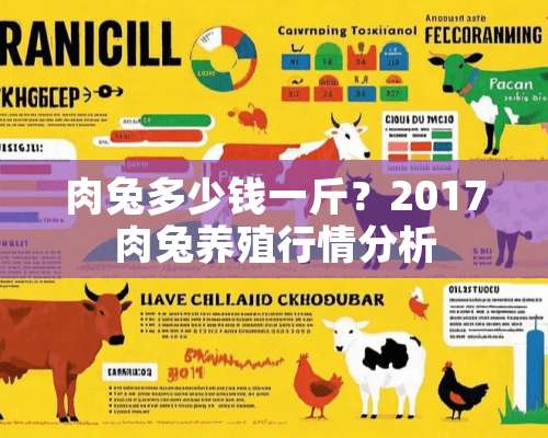 肉兔多少钱一斤？2017肉兔养殖行情分析