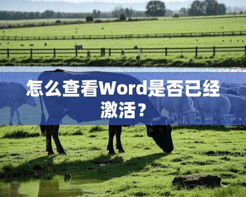 怎么查看Word是否已经激活？