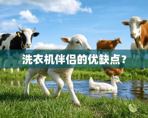 洗衣机伴侣的优缺点？