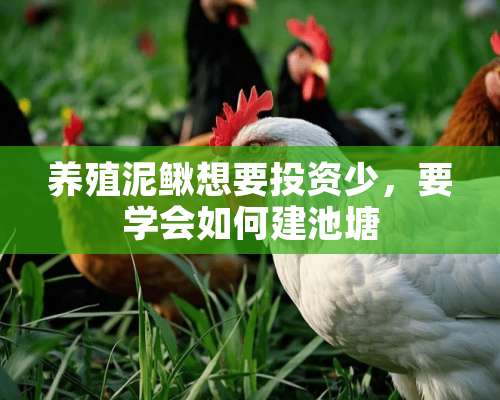 养殖泥鳅想要投资少，要学会如何建池塘