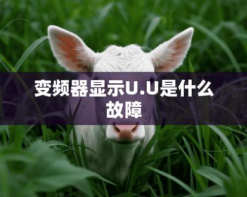 变频器显示U.U是什么故障