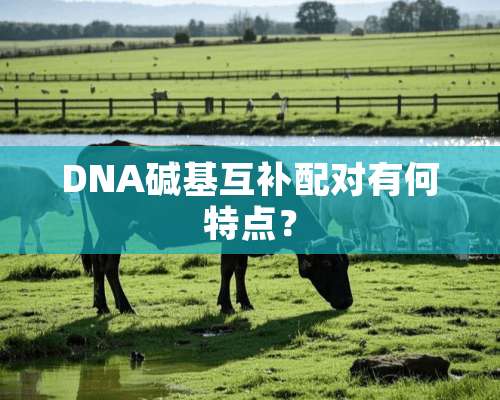 DNA碱基互补配对有何特点？