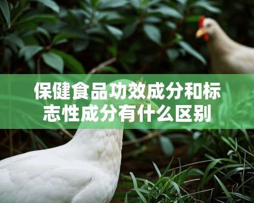 保健食品功效成分和标志性成分有什么区别