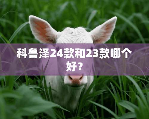 科鲁泽24款和23款哪个好？