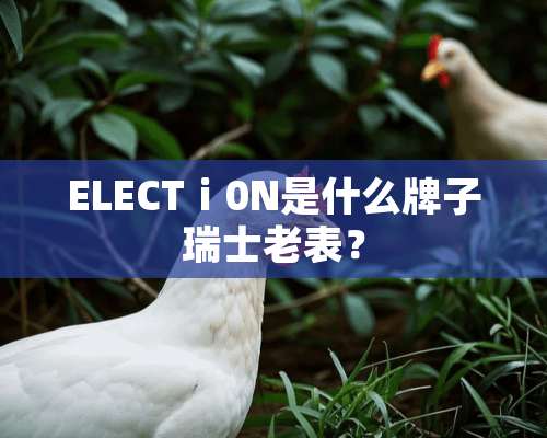 ELECTⅰ0N是什么牌子瑞士老表？