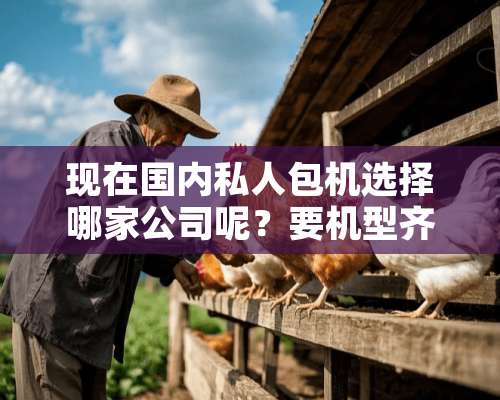 现在国内私人包机选择哪家公司呢？要机型齐全的那种公司啊。