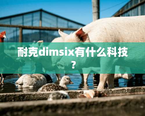 耐克dimsix有什么科技？