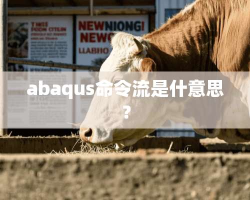 abaqus命令流是什意思？