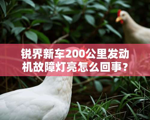 锐界新车200公里发动机故障灯亮怎么回事？