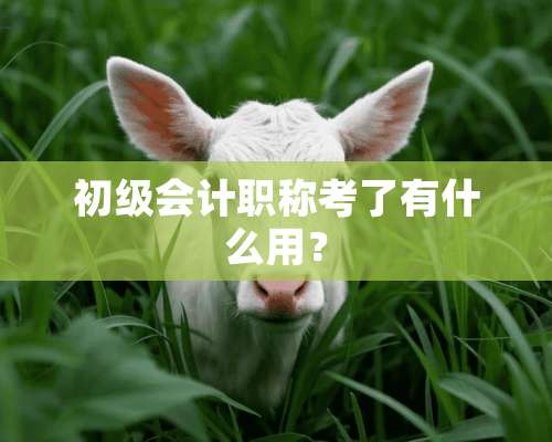 初级会计职称考了有什么用？