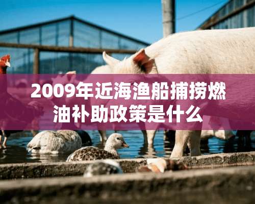 2009年近海渔船捕捞燃油补助政策是什么