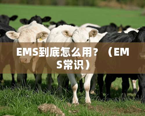 EMS到底怎么用？（EMS常识）