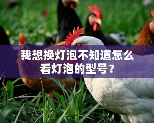 我想换灯泡不知道怎么看灯泡的型号？