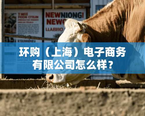 环购（上海）电子商务有限公司怎么样？