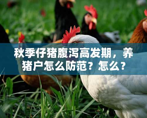 秋季仔猪腹泻高发期，养猪户怎么防范？怎么？