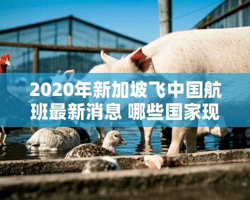 2020年新加坡飞中国航班最新消息 哪些国家现在可以飞新加坡