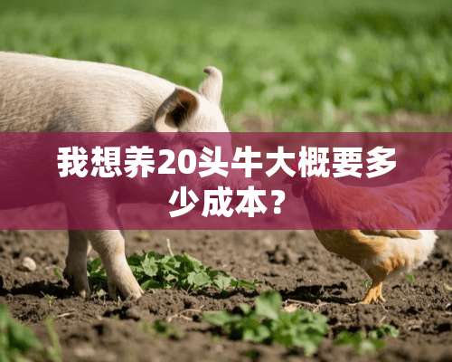 我想养20头牛大概要多少成本？