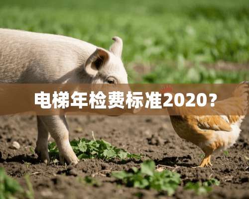 电梯年检费标准2020？