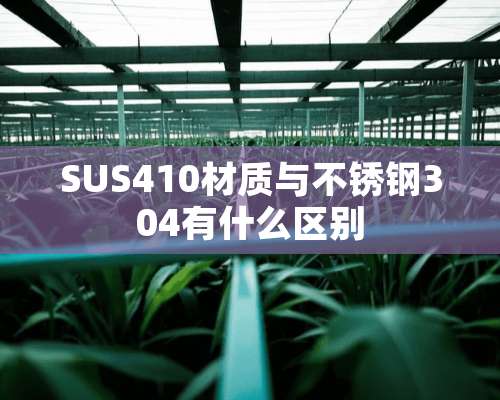 SUS410材质与不锈钢304有什么区别